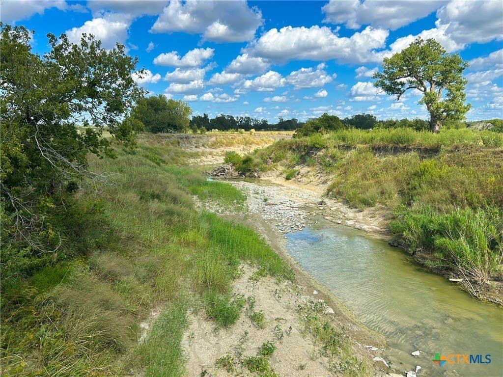 112 acres in Milam County - photo 3