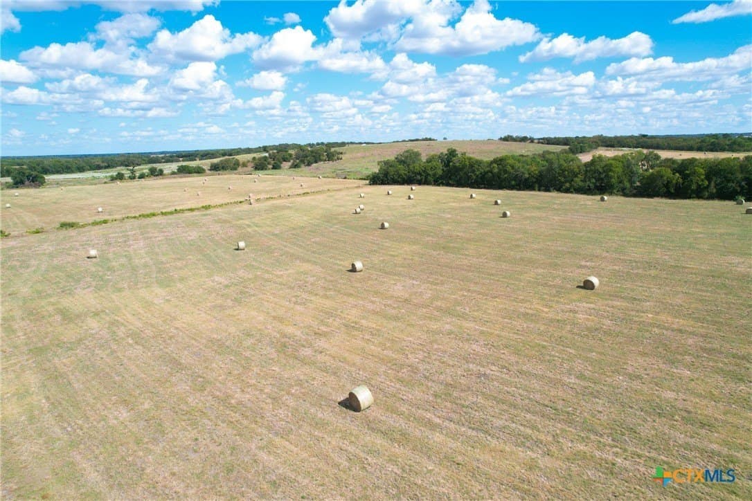 112 acres in Milam County - photo 13
