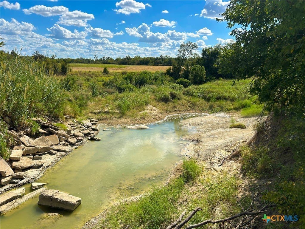 112 acres in Milam County - photo 14