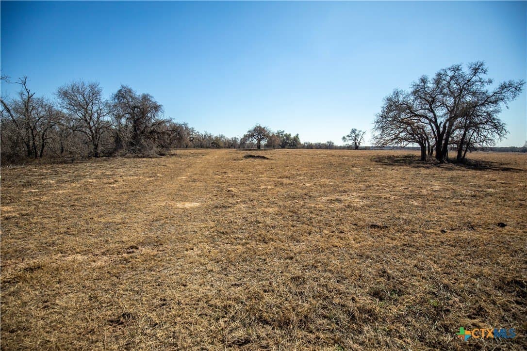 298 acres in Wilson County - photo 14
