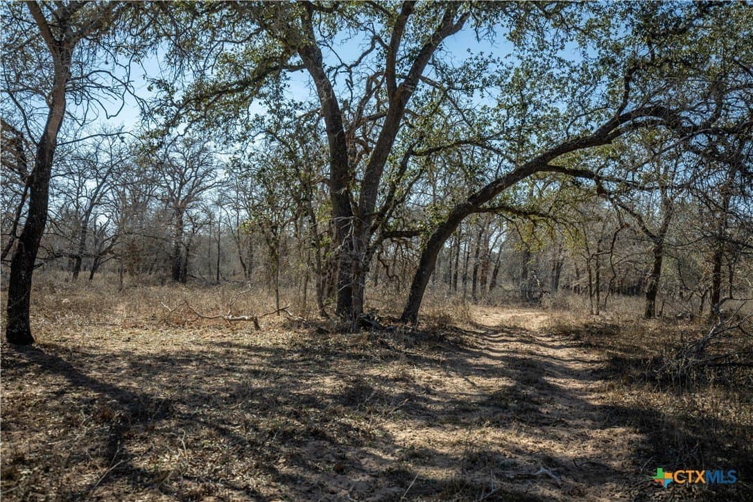 298 acres in Wilson County - photo 39