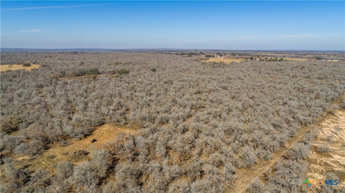 298 acres in Wilson County - photo 5
