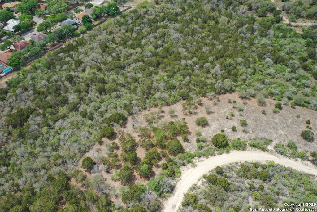 0.5 acres in Bexar County - photo 4