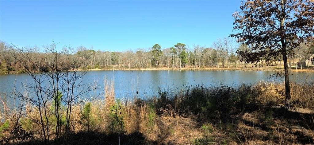 1 acres in Wood County - photo 5