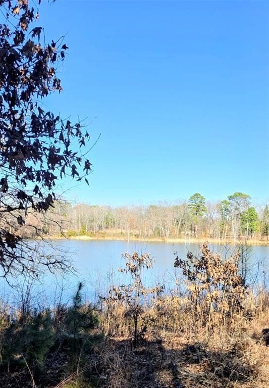 1 acres in Wood County - photo 7