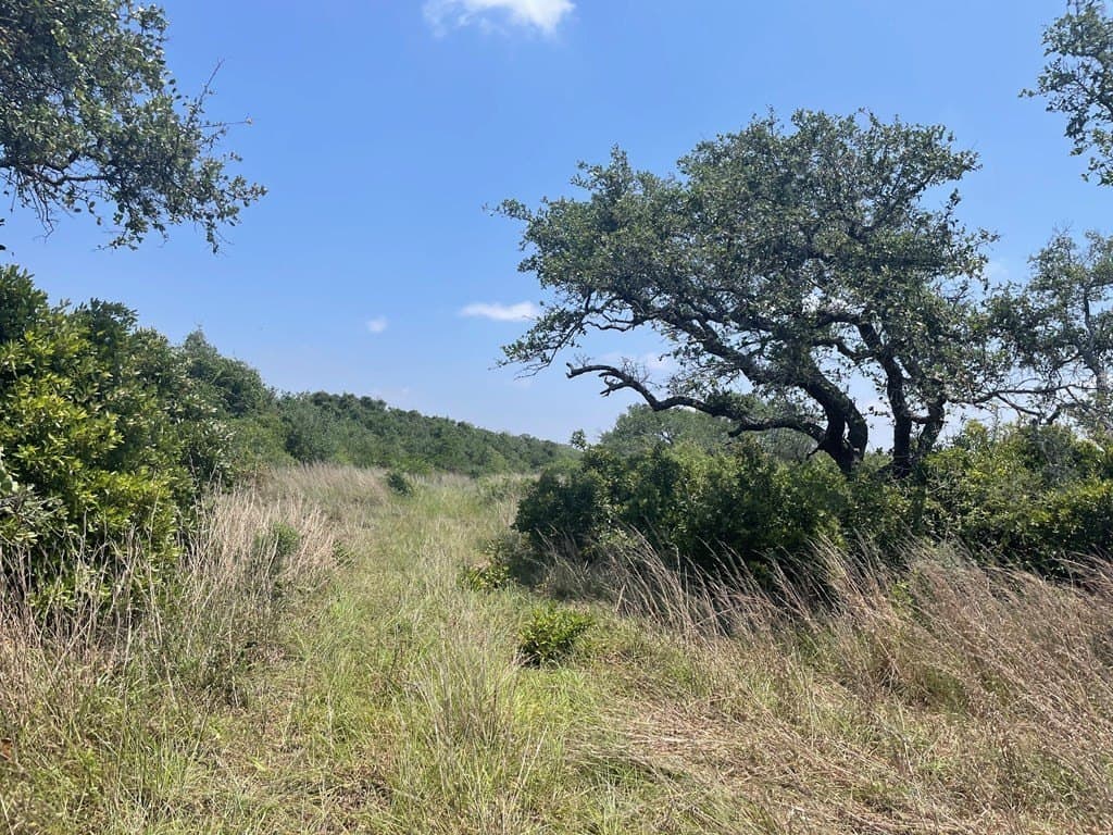 5.5 acres in San Patricio County - photo 3