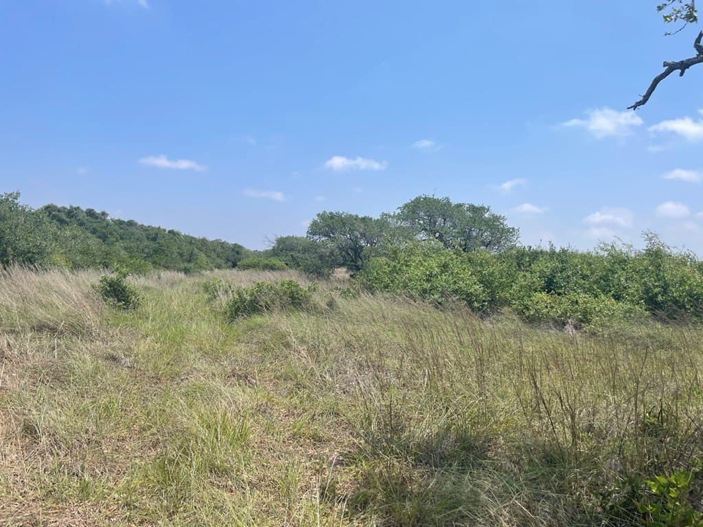 5.5 acres in San Patricio County - photo 2