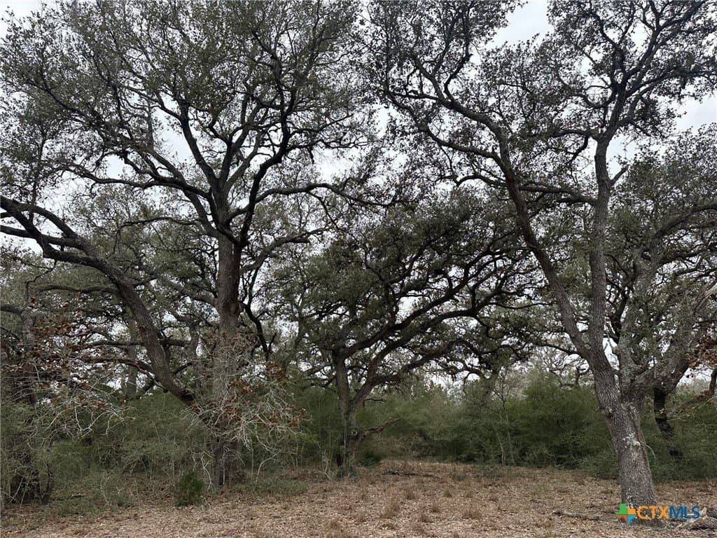 24.8 acres in Victoria County - photo 3