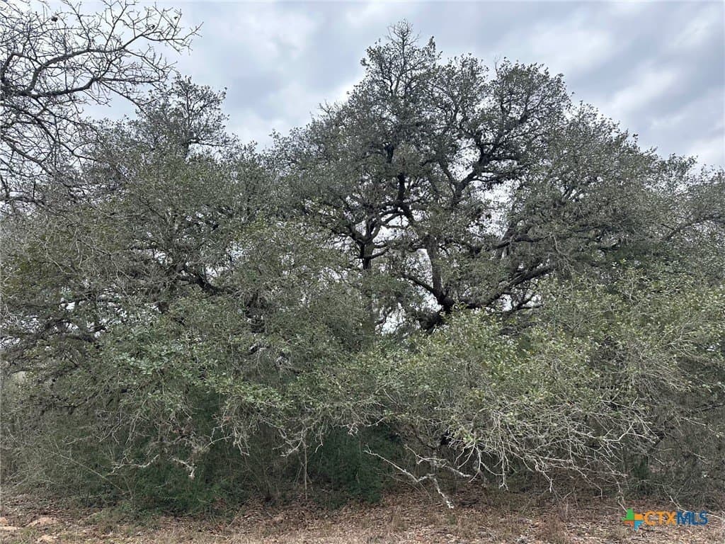 24.8 acres in Victoria County - photo 2