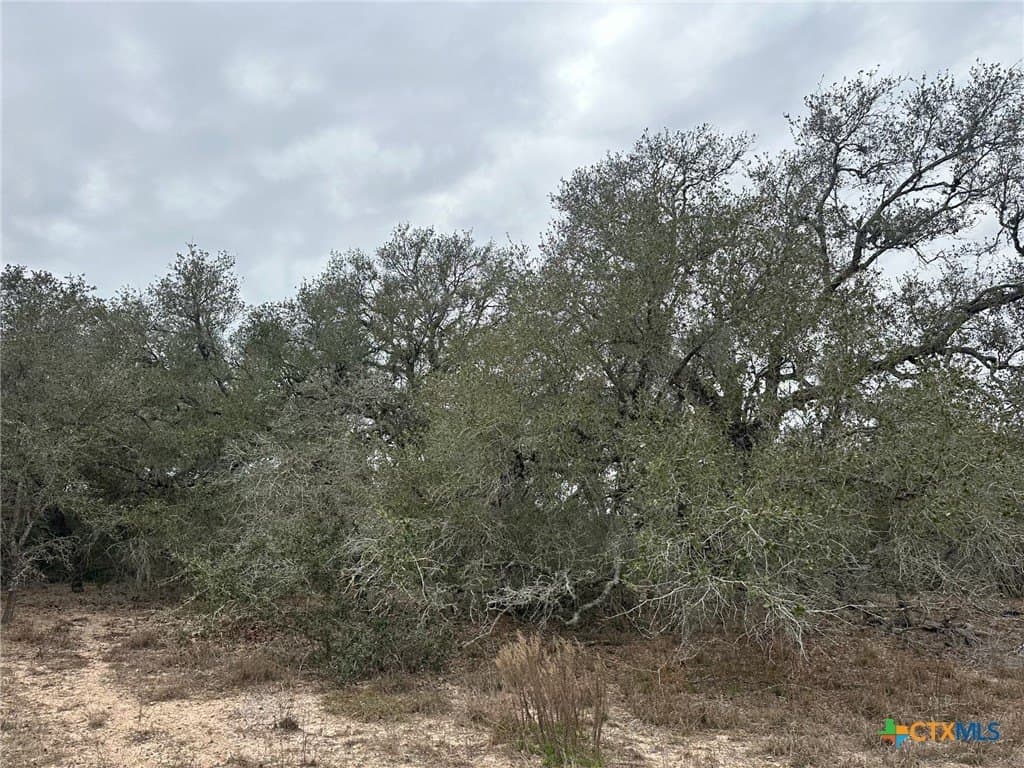 24.8 acres in Victoria County - photo 5
