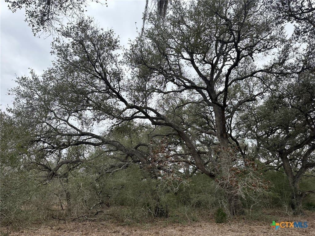24.8 acres in Victoria County - photo 4