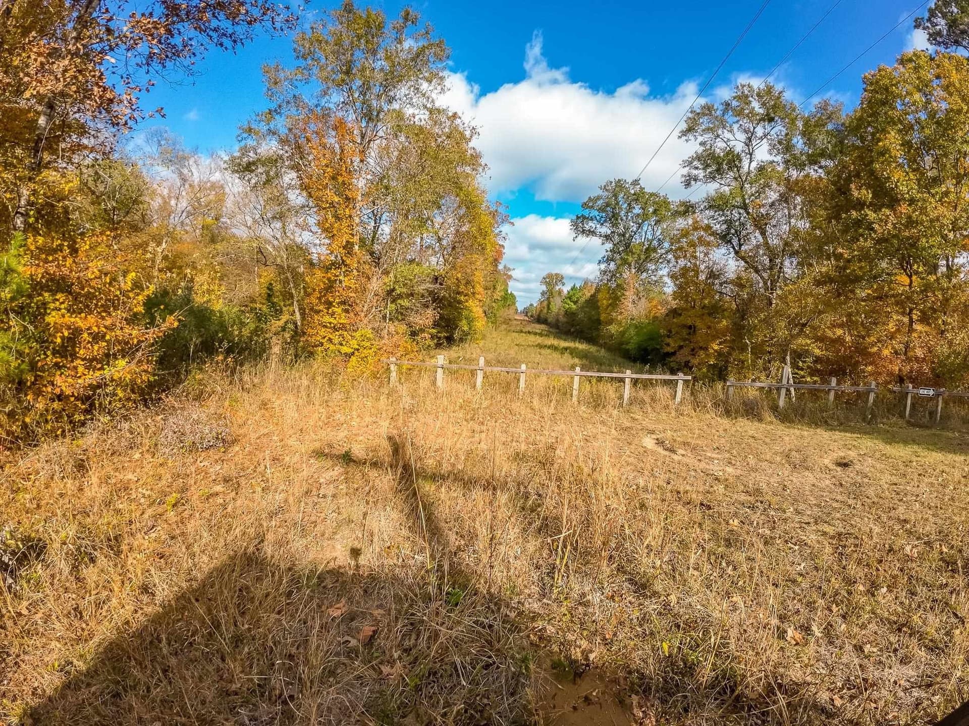 289.38 acres in Harrison County - photo 23