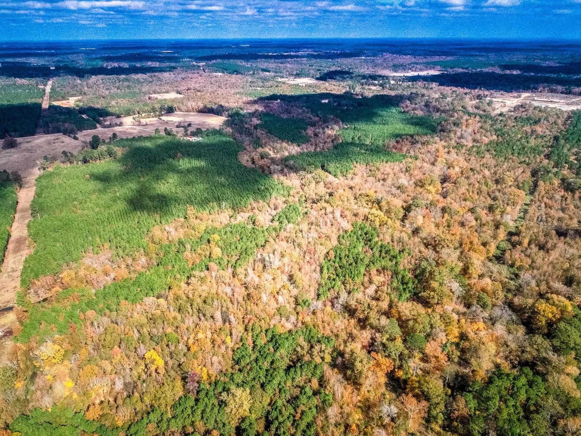 289.38 acres in Harrison County - photo 18