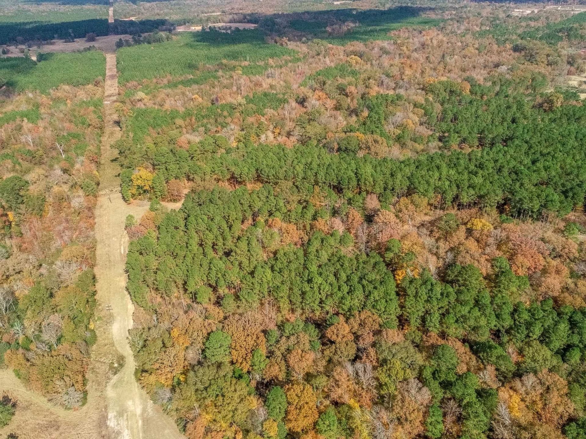 289.38 acres in Harrison County - photo 14