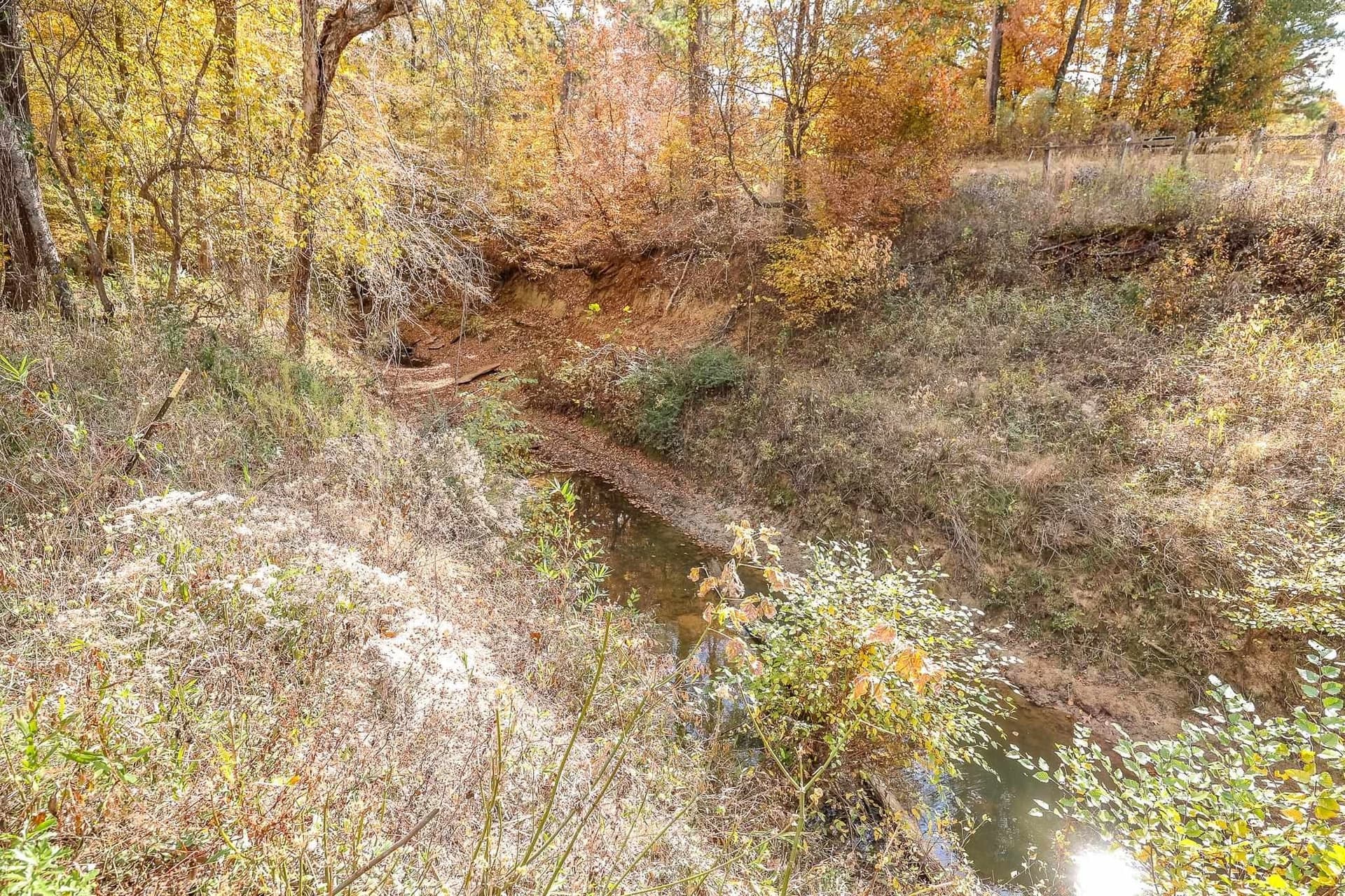 289.38 acres in Harrison County - photo 10