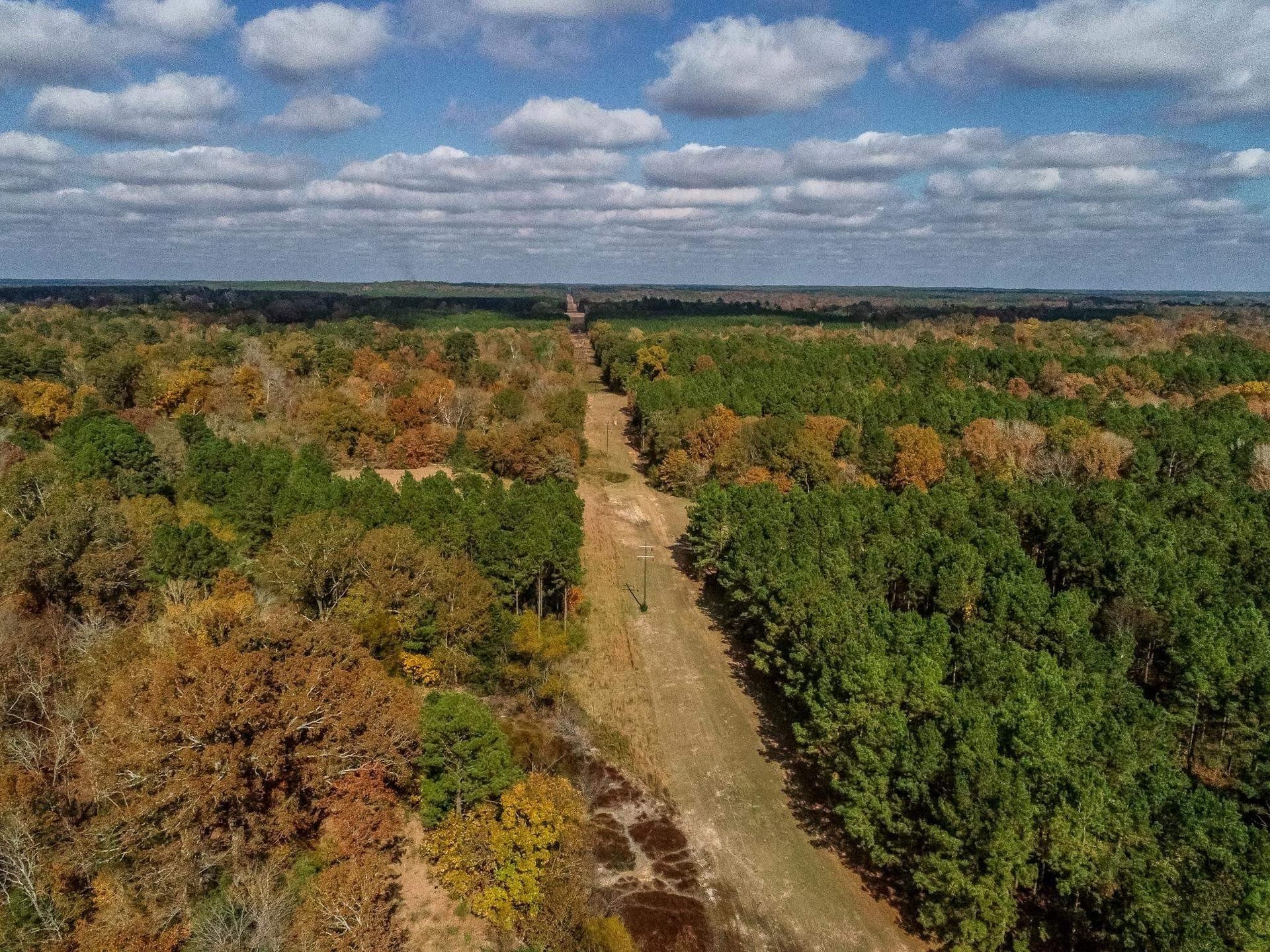 289.38 acres in Harrison County - photo 20