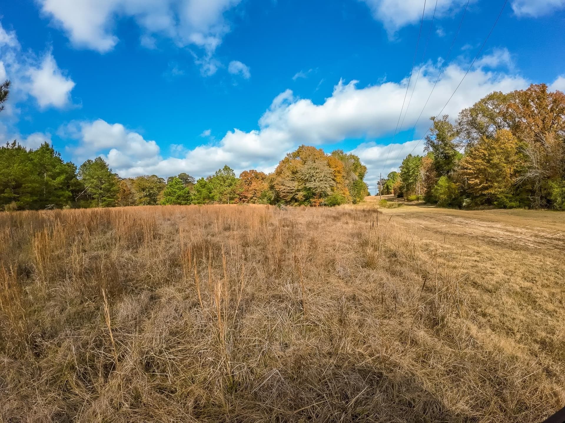 289.38 acres in Harrison County - photo 22