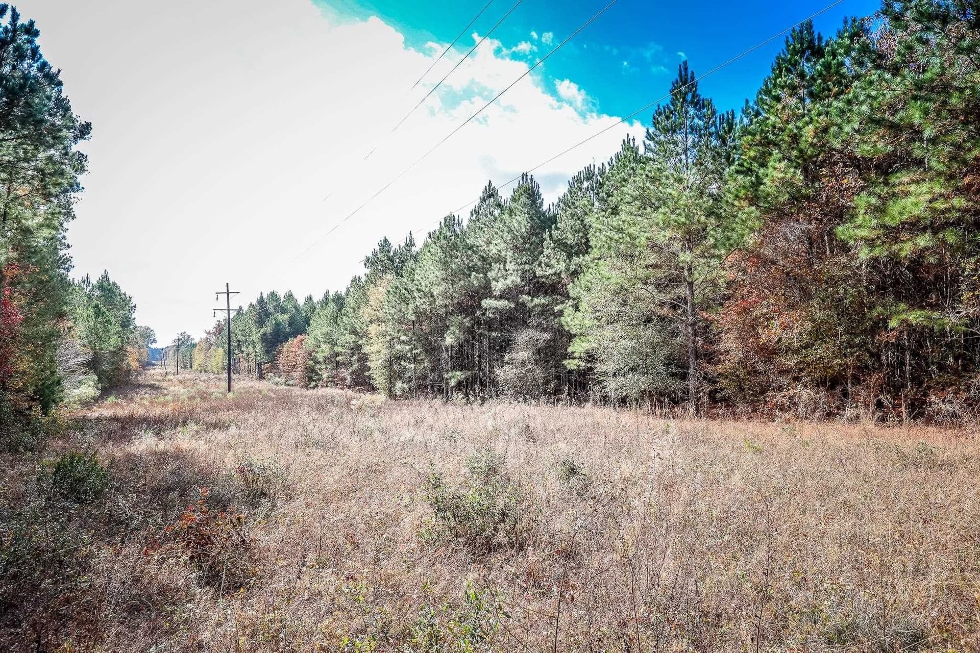 289.38 acres in Harrison County - photo 9