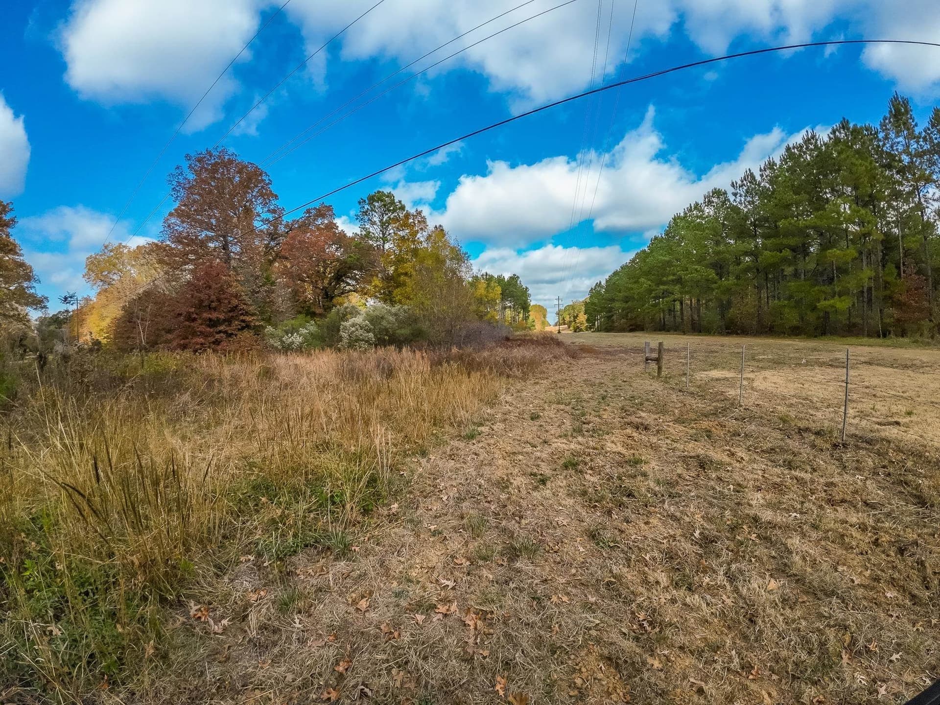 289.38 acres in Harrison County - photo 21
