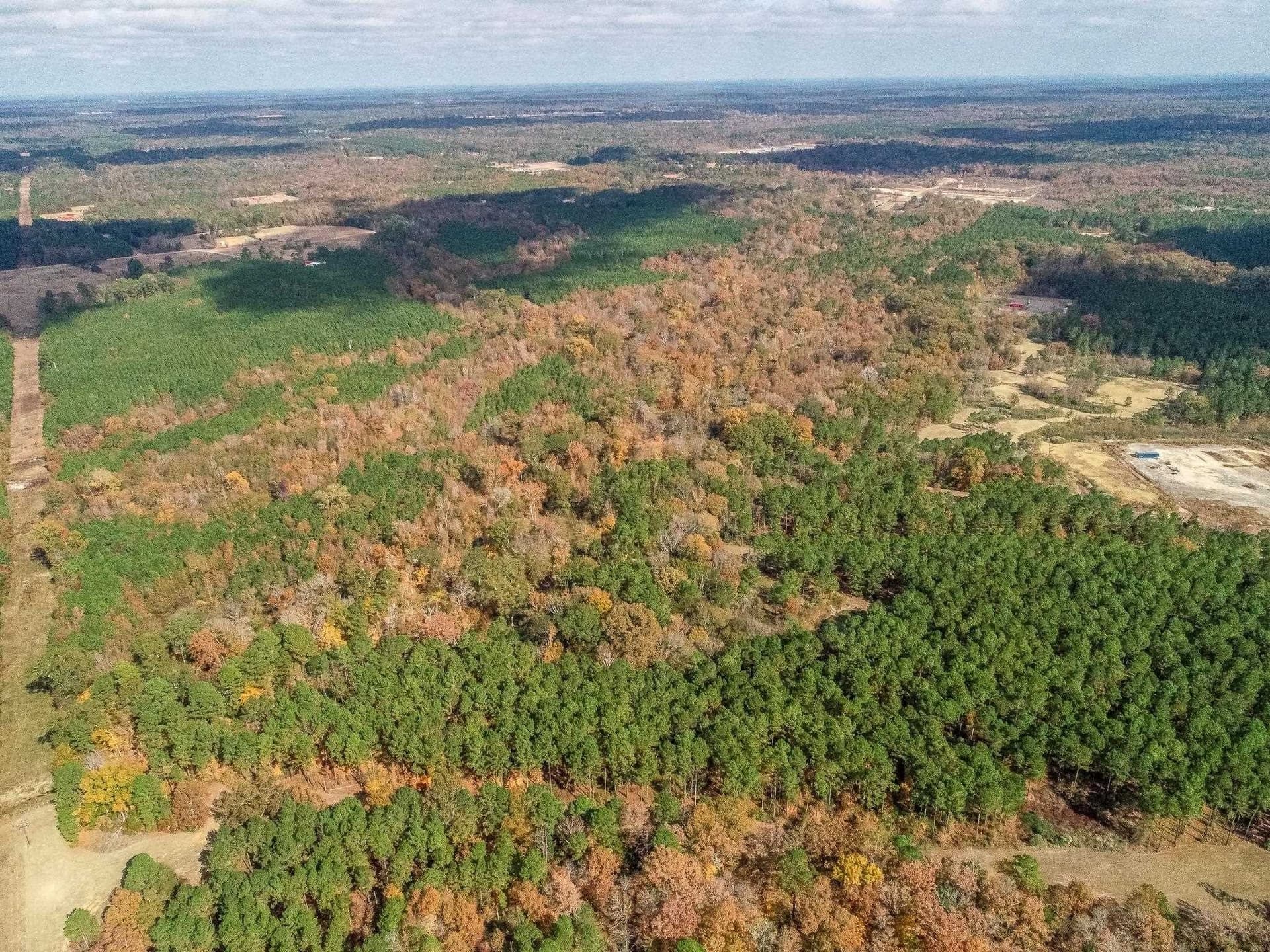 289.38 acres in Harrison County - photo 16