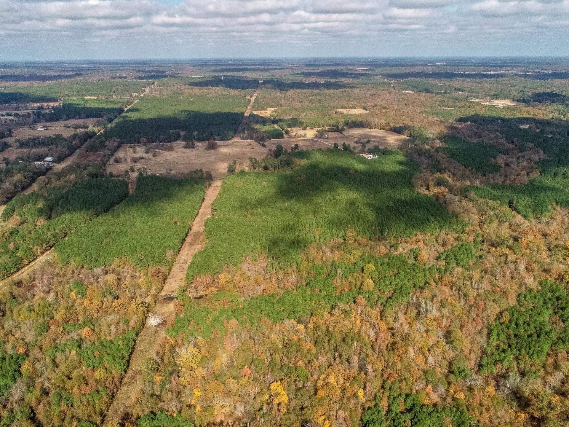 289.38 acres in Harrison County - photo 19