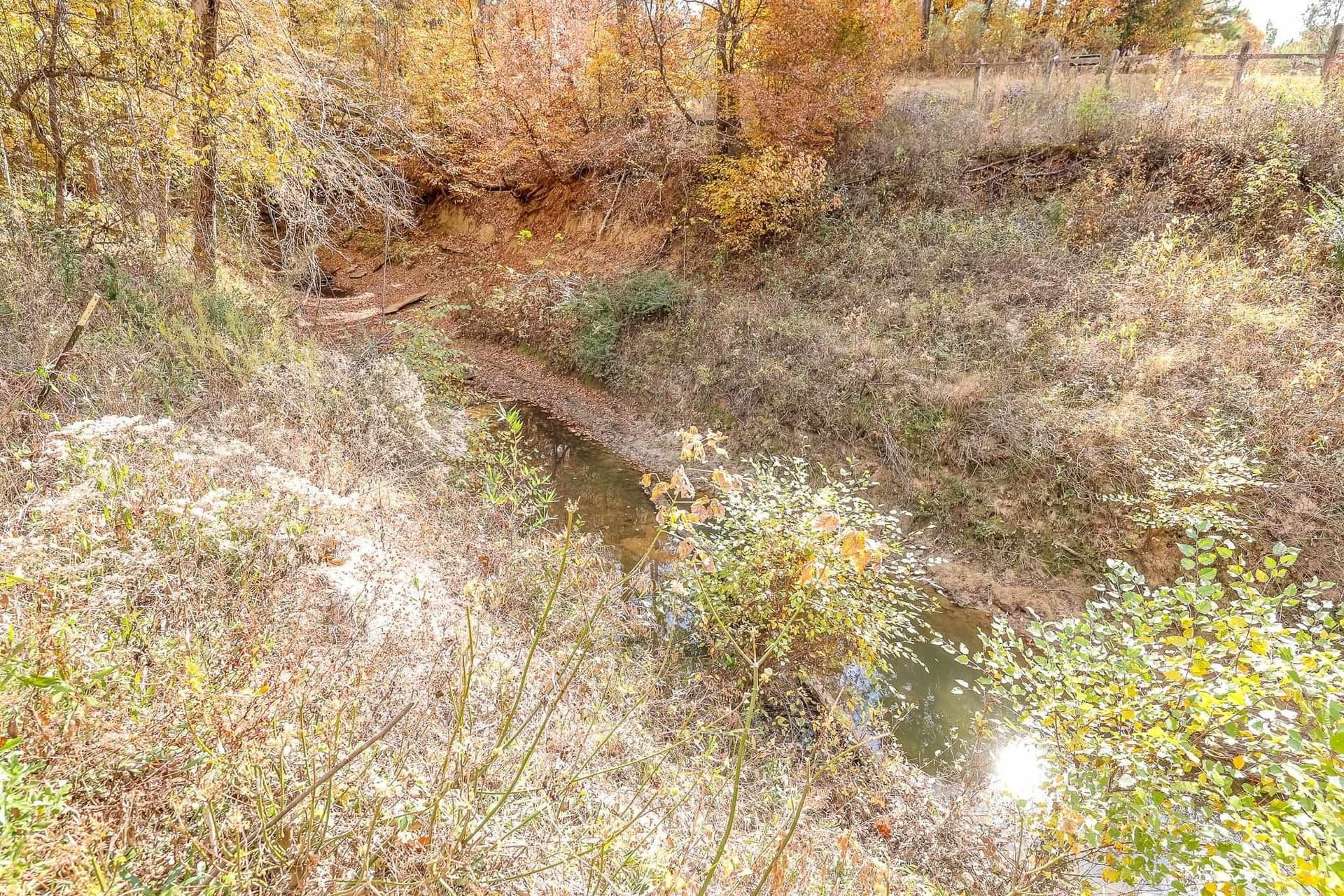 289.38 acres in Harrison County - photo 12