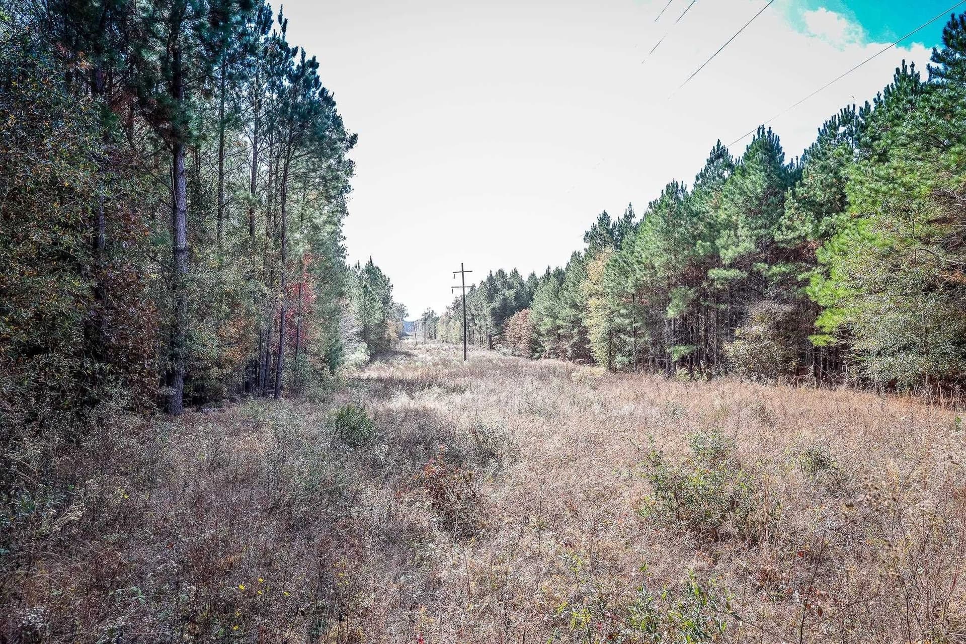 289.38 acres in Harrison County - photo 8