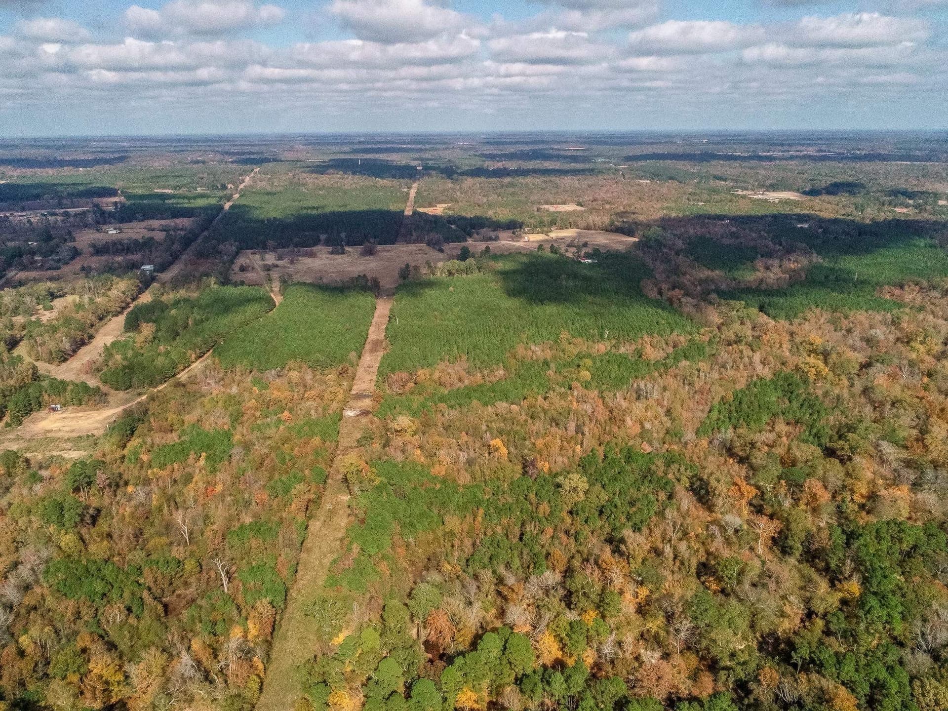 289.38 acres in Harrison County - photo 17