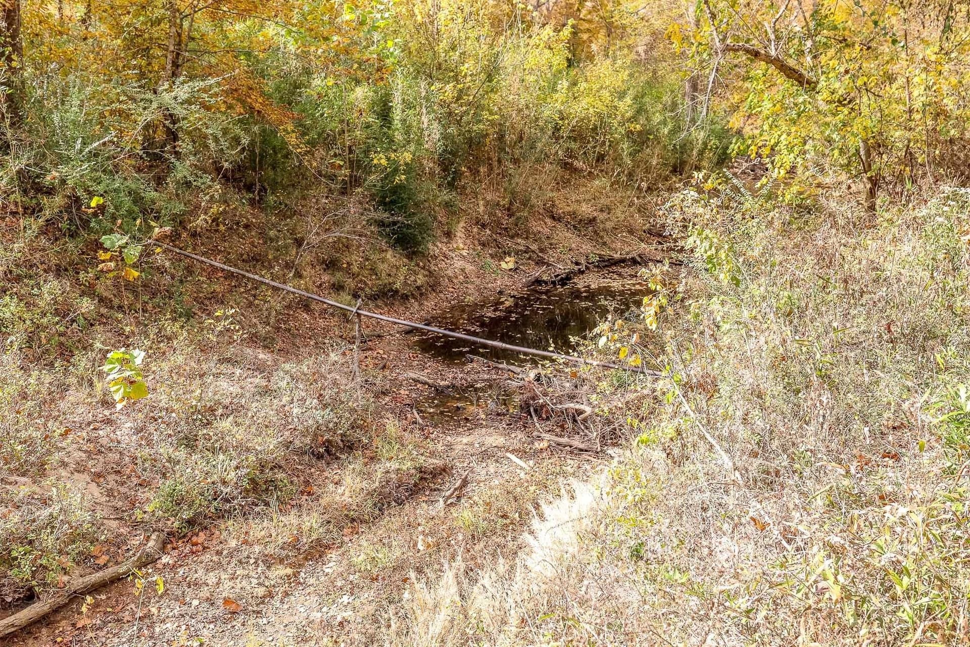 289.38 acres in Harrison County - photo 11