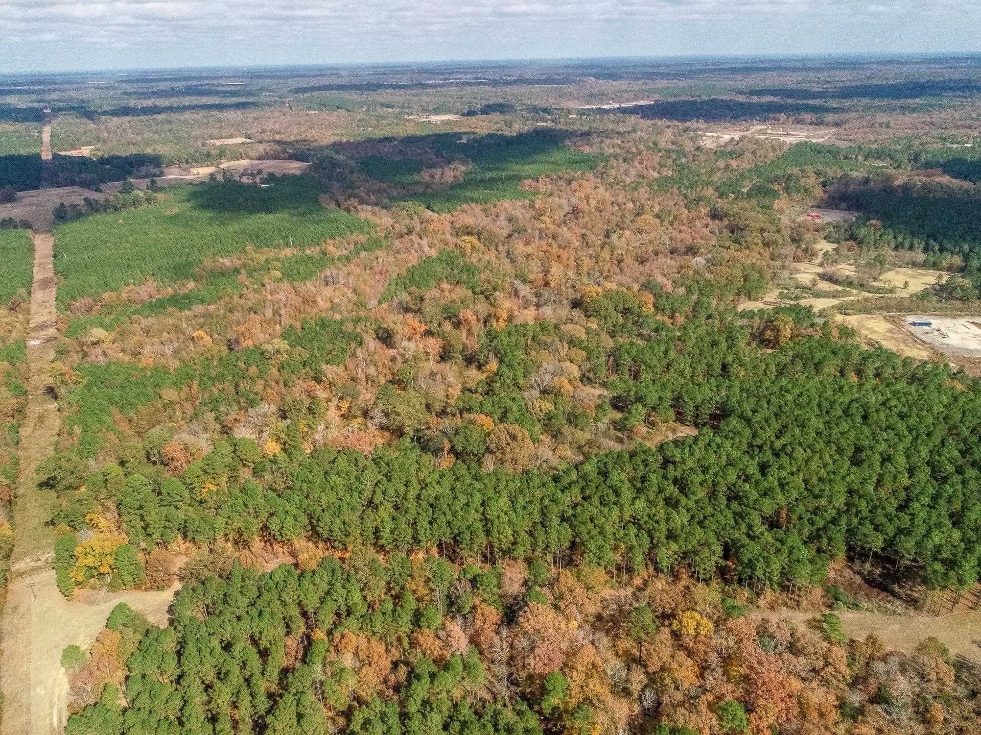 289.38 acres in Harrison County - photo 15