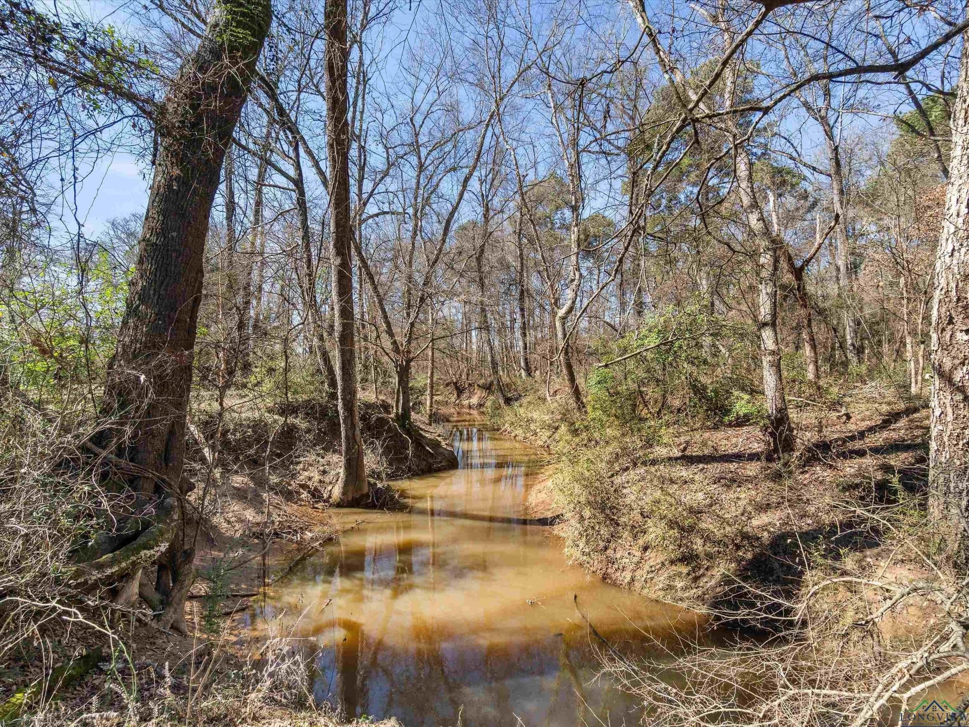 37.4 acres in Upshur County - photo 3