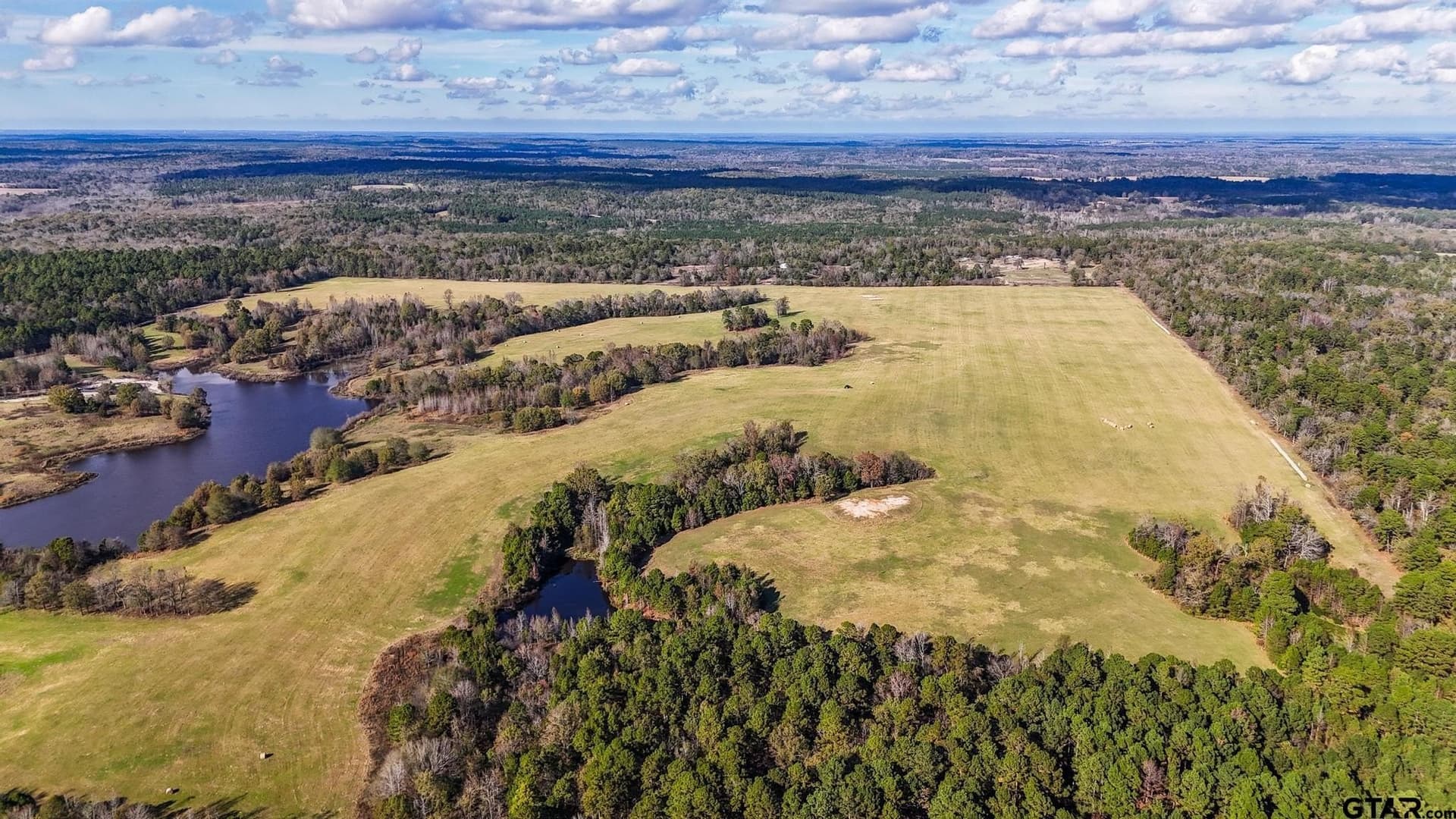 33.49 acres in Wood County - photo 9