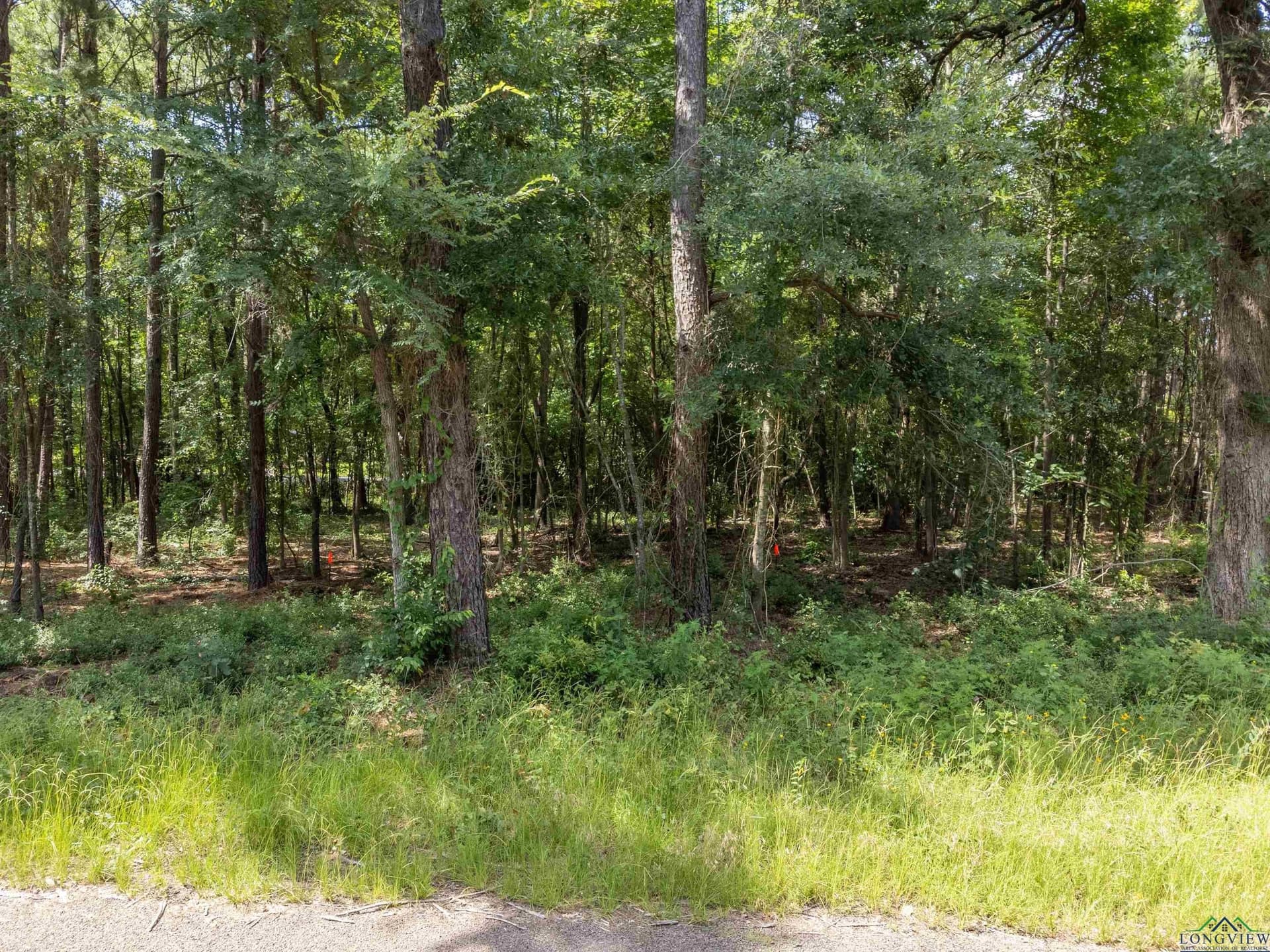 2.19 acres in Gregg County - photo 7