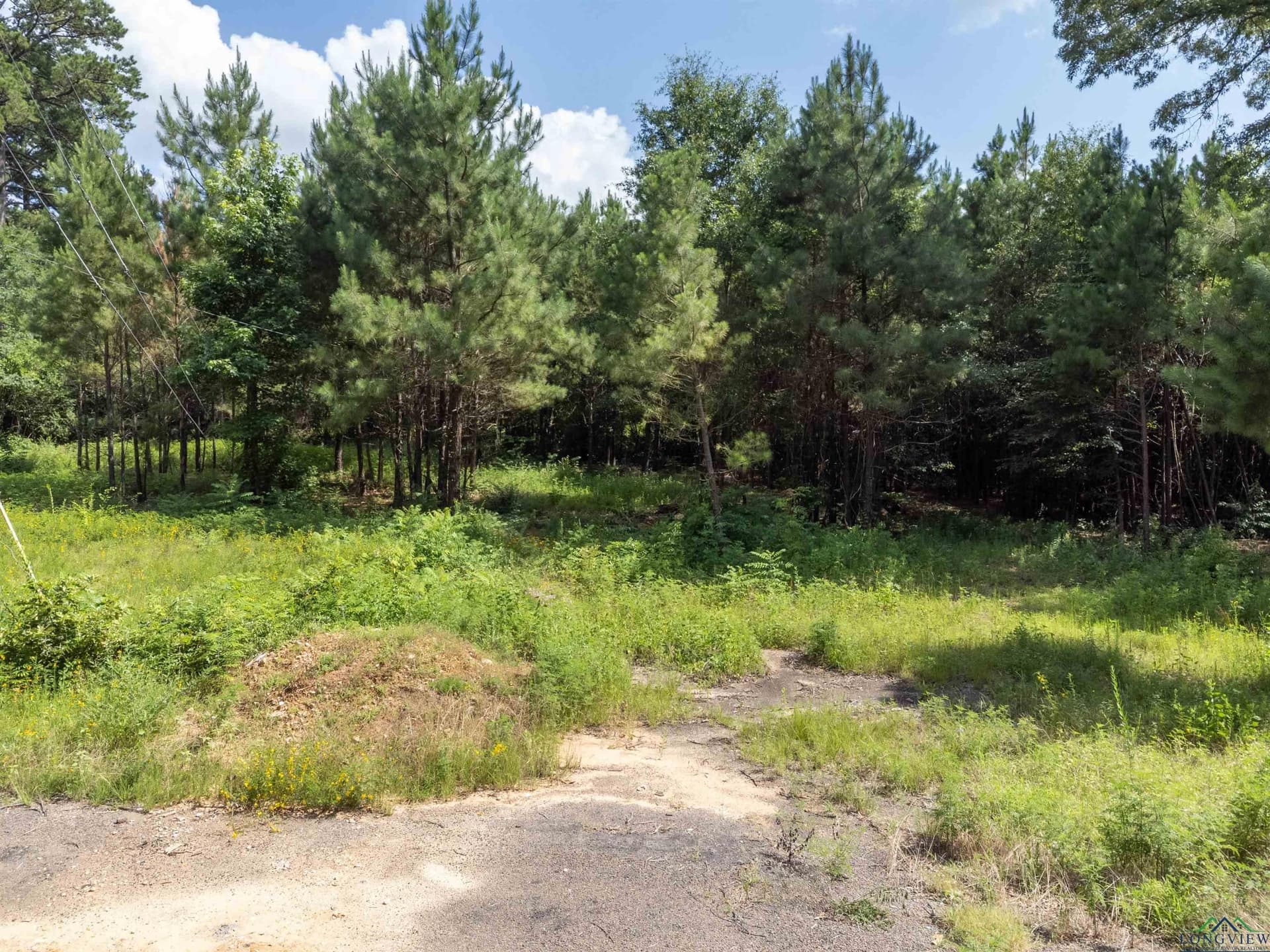 2.19 acres in Gregg County - photo 8