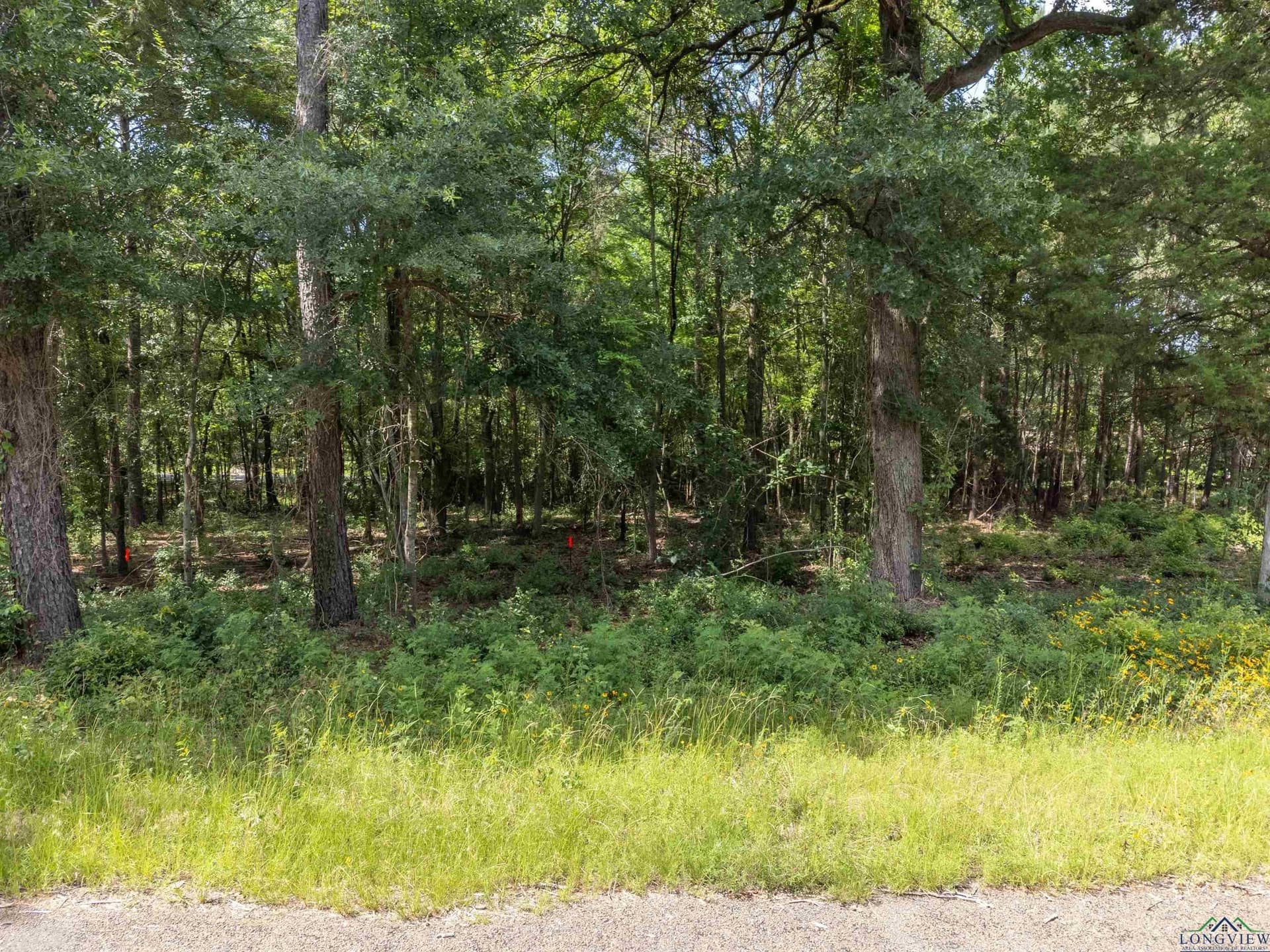 2.19 acres in Gregg County - photo 6