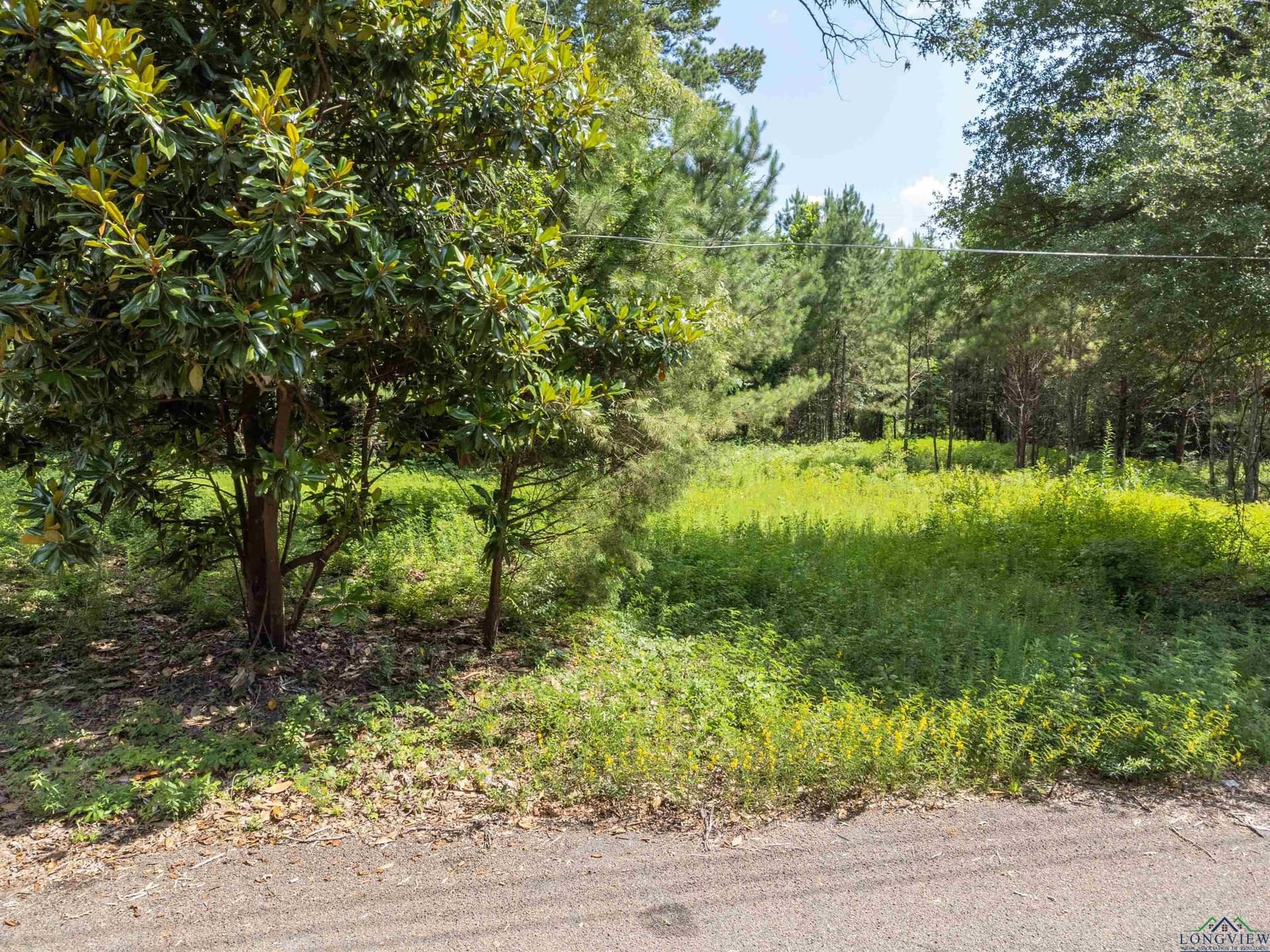2.19 acres in Gregg County - photo 9