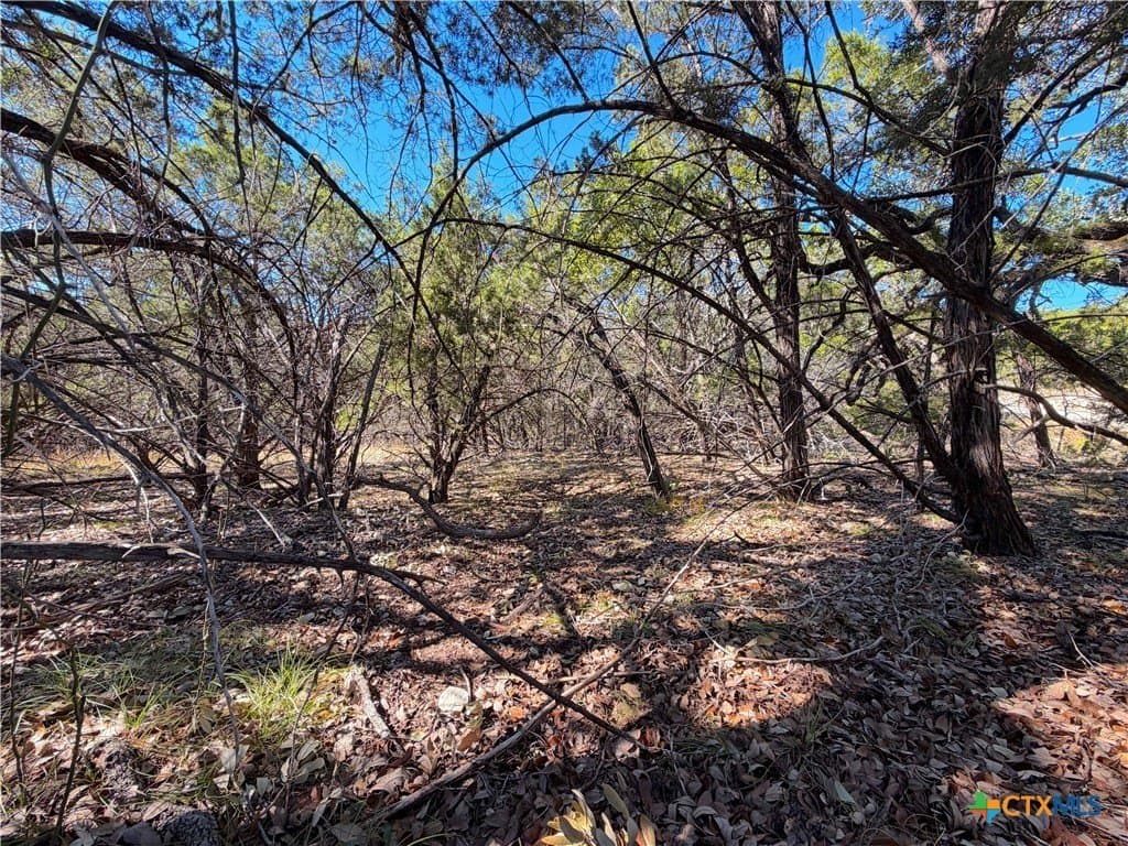 2.68 acres in Comal County - photo 15