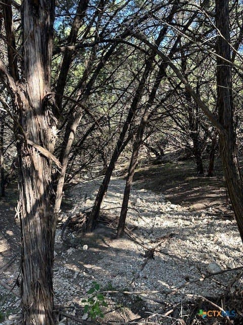 2.68 acres in Comal County - photo 22