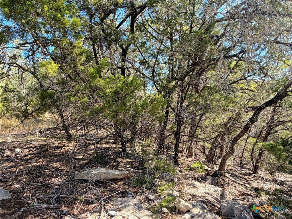 2.68 acres in Comal County - photo 8
