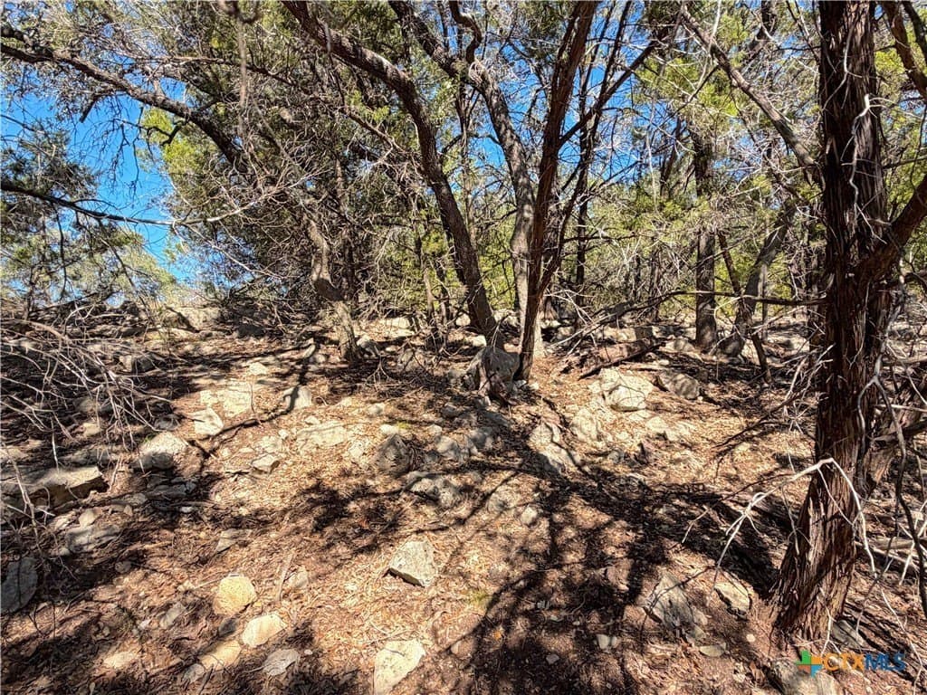 2.68 acres in Comal County - photo 13