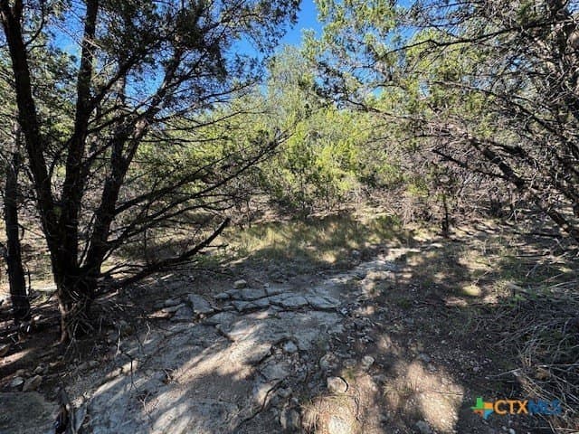 2.68 acres in Comal County - photo 19