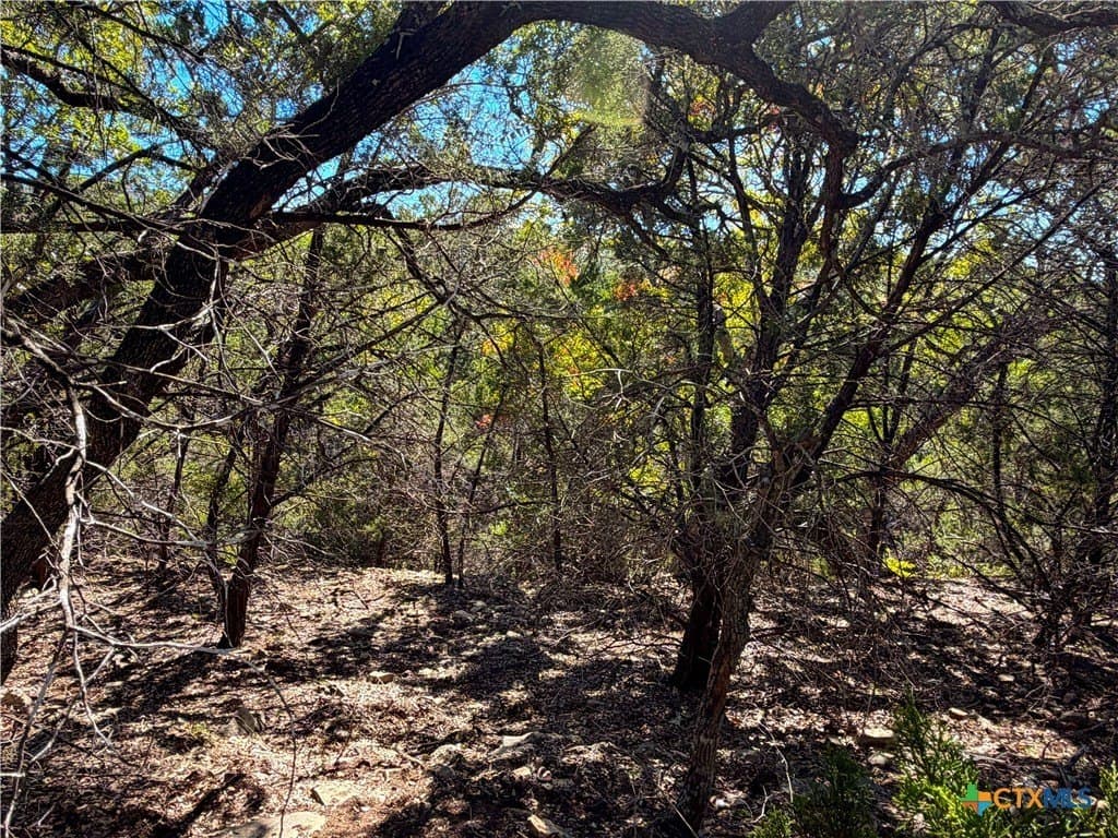 2.68 acres in Comal County - photo 10