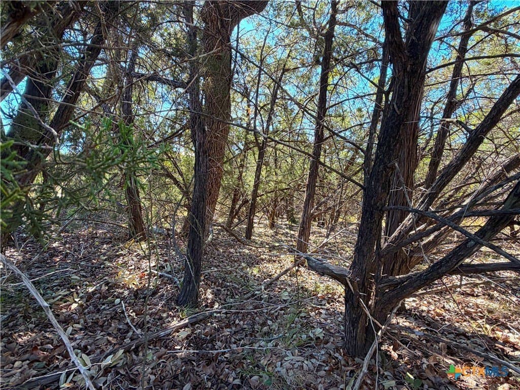 2.68 acres in Comal County - photo 16