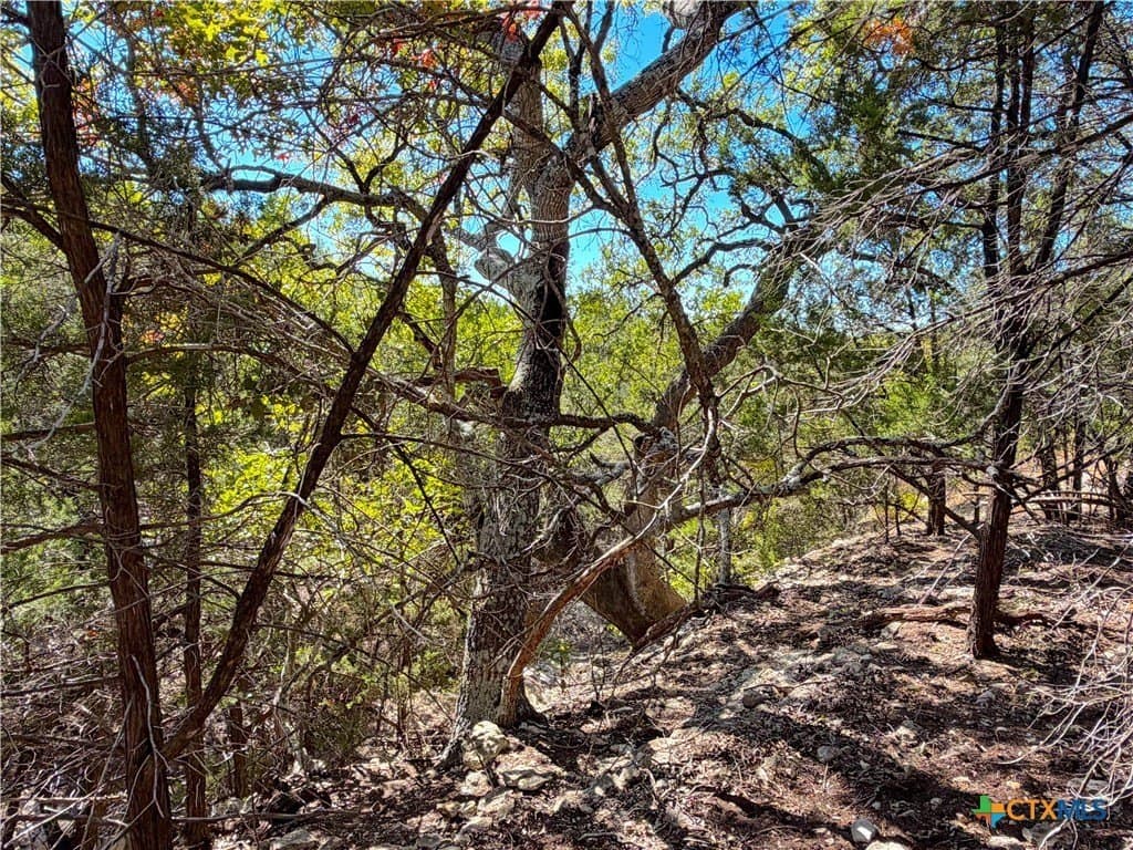 2.68 acres in Comal County - photo 11