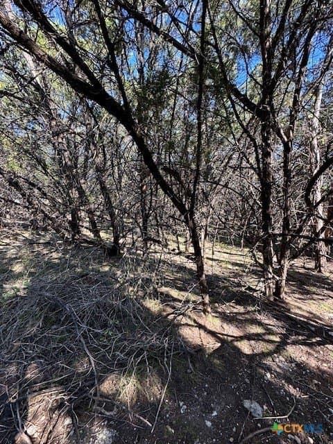 2.68 acres in Comal County - photo 21