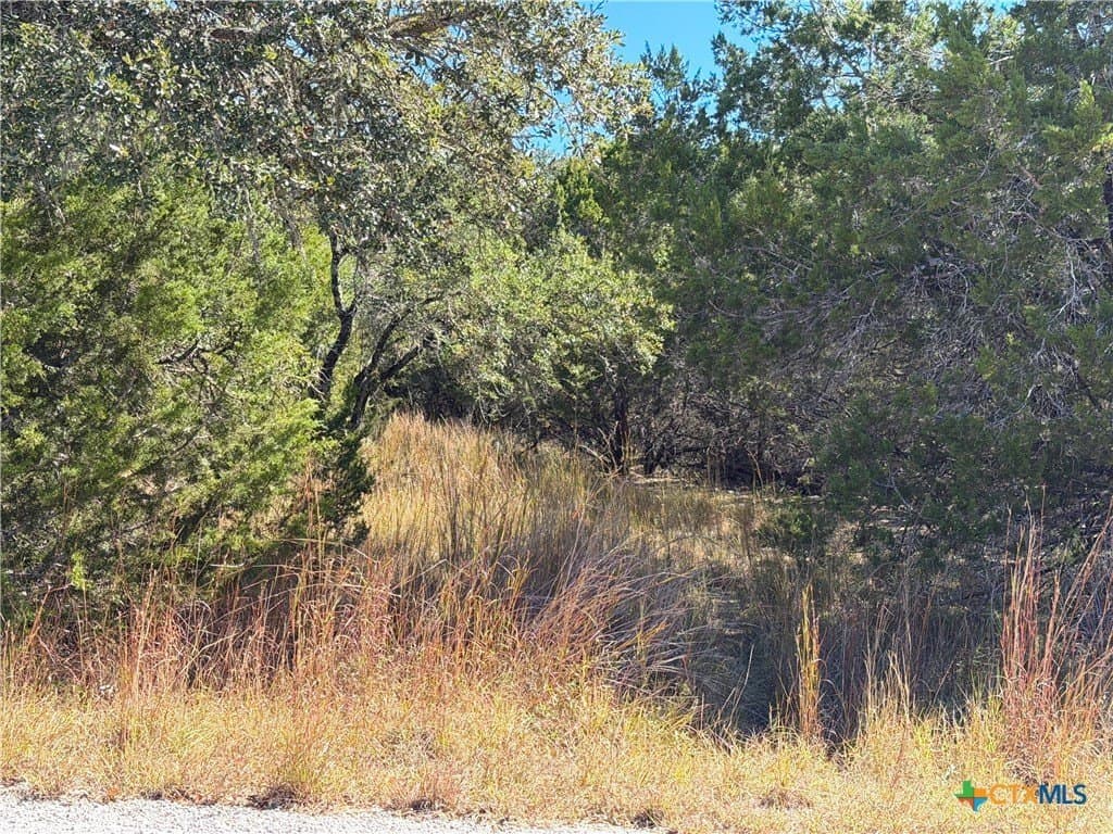 2.68 acres in Comal County - photo 7