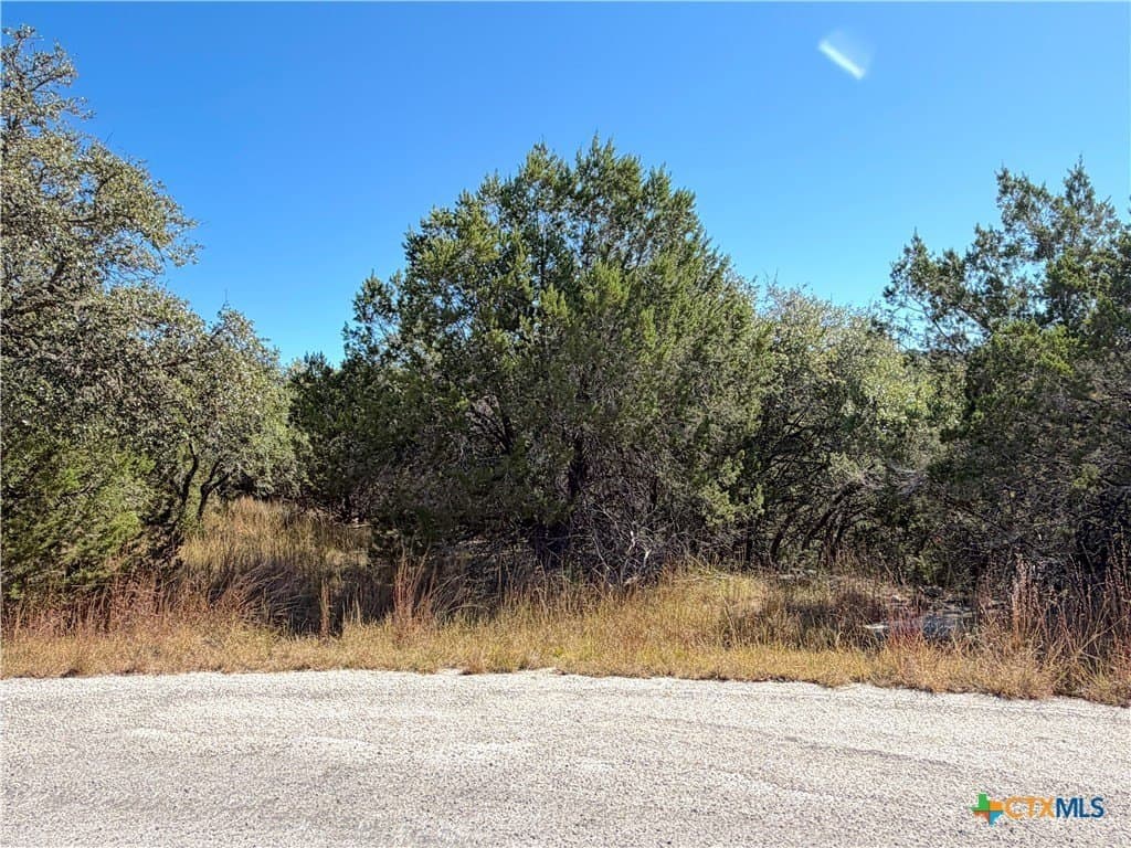 2.68 acres in Comal County - photo 5