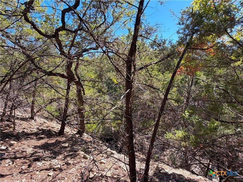 2.68 acres in Comal County - photo 12