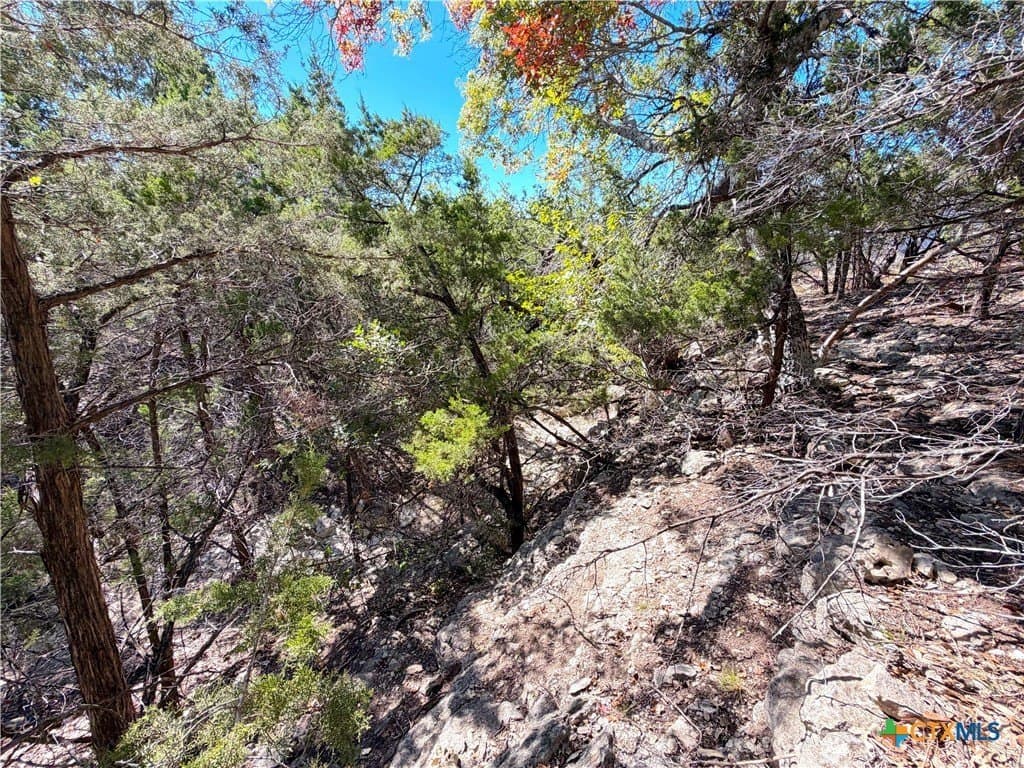 2.68 acres in Comal County - photo 14