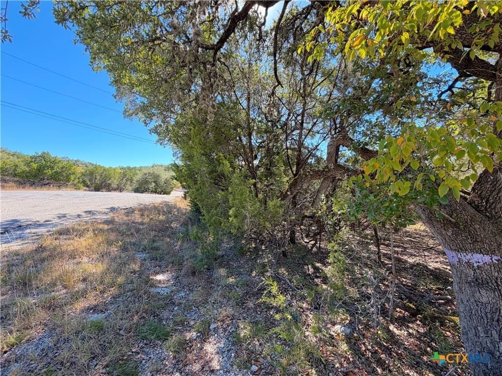 2.68 acres in Comal County - photo 17